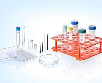Examining Eco-Friendly Blood Vial Holder Solutions